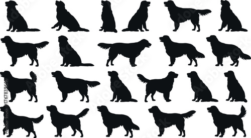 Silhouette collection of golden retriever dogs isolated on white background