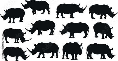 Silhouette of a group of rhinoceroses isolated on white background