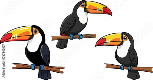 Three colorful toucans perched on branches illustration