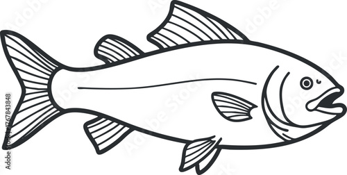 A simple illustration of a fish showcasing its features and natural form.