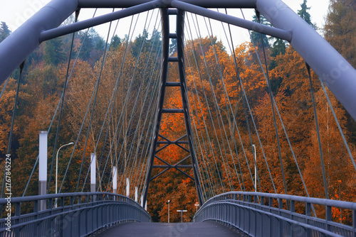 Symmetrical Pedestrian Bridge Amidst Autumn Foliage and Trees
