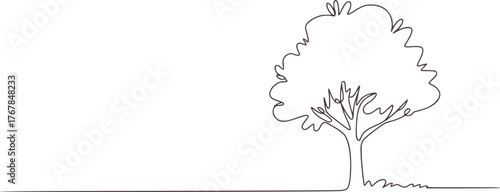 Single tree line drawing nature minimalist