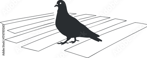 A silhouette of a pigeon standing on a crosswalk in an urban setting.