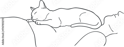 A line art illustration of a cat peacefully sleeping on a person's chest.