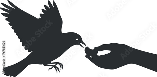 A silhouette of a hand feeding a bird, symbolizing connection and compassion in nature.