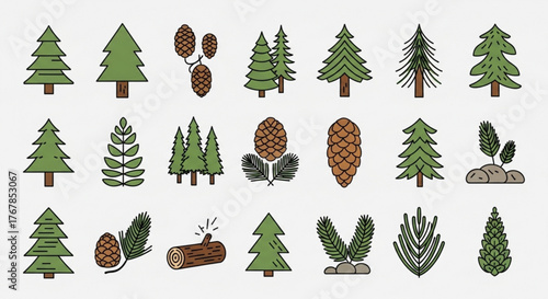 Collection of various evergreen trees and pinecones in a simple cartoon style