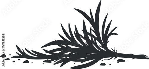 Silhouette of grass and weeds spread across the ground in a natural setting