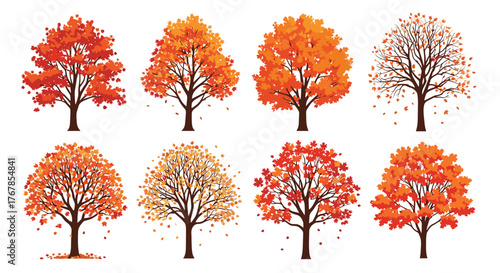 Collection of eight autumn trees with vibrant orange and red leaves against a white background.