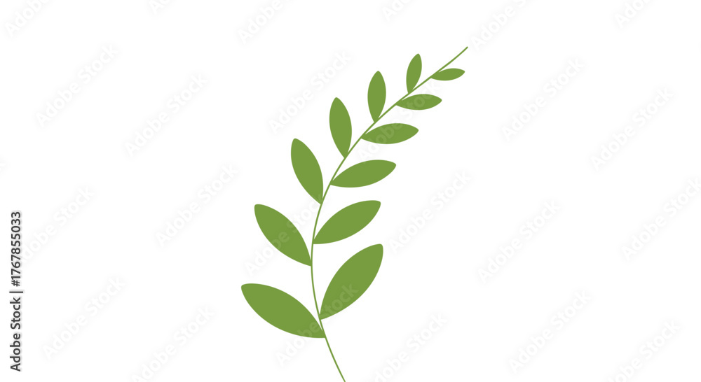Fototapeta premium Illustration of a leafy stem, with small leaves alternating up the stem, against a white background.