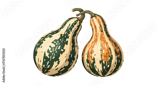 Two decorative gourds with green, orange, and cream-colored patterns, touching stems against a white background.