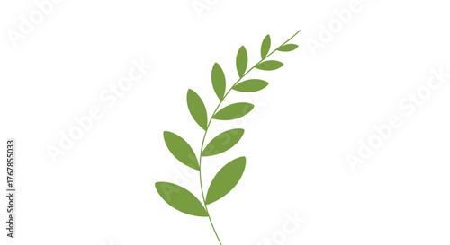 Illustration of a leafy stem, with small leaves alternating up the stem, against a white background.