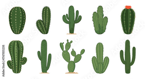 Diverse collection of cartoon cacti, showcasing a variety of shapes, sizes, and textures, adding a playful and vibrant touch to any design.