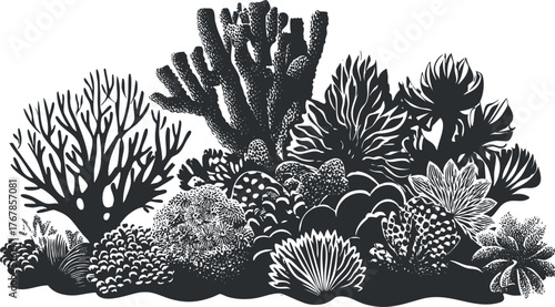 A detailed black silhouette illustration of various coral species in a marine ecosystem.