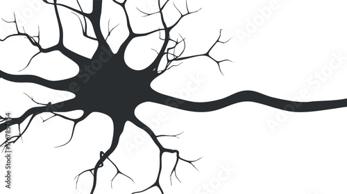 Illustration of a neuron with branches representing axons and dendrites in a biological context.