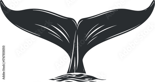 Stylized illustration of a whale tail emerging from the ocean water in black and white.