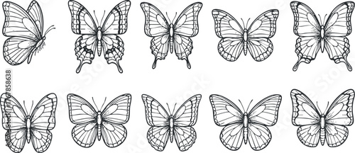 A collection of intricate black and white butterfly illustrations perfect for design and crafts.