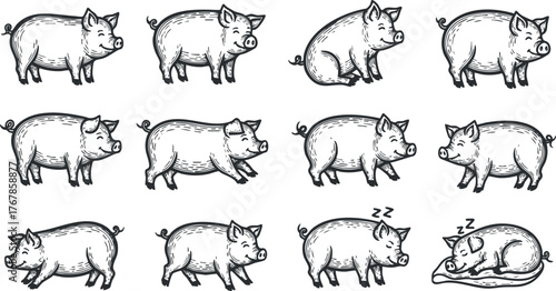 A collection of cute cartoon pigs in various poses and expressions, ideal for farm-themed designs.