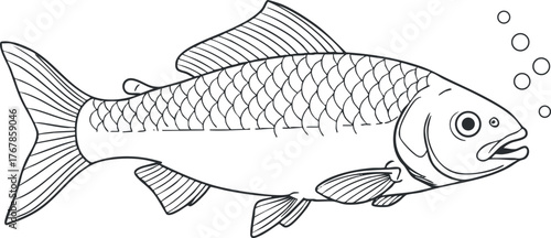 A detailed illustration of a swimming fish with bubbles, suitable for coloring and educational purposes.