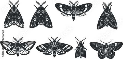 A collection of artistic black and white moth illustrations depicting various species and styles.