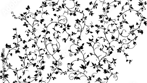 Photography Elegant black vine and leaf pattern design, perfect for decorative borders, invitations, and sophisticated branding elements, adding natural beauty