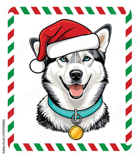 Happy husky in a Santa Claus hat.