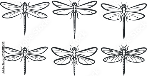 A collection of six detailed dragonfly illustrations showcasing their unique wing structures and designs.