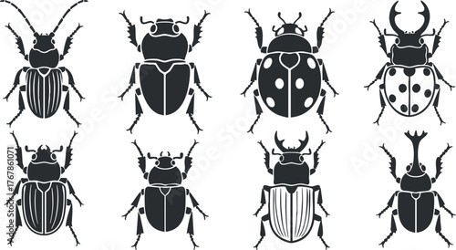 Collection of black and white beetle illustrations showcasing various species and designs.