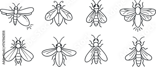 A collection of simple line drawings of various bees in black and white.