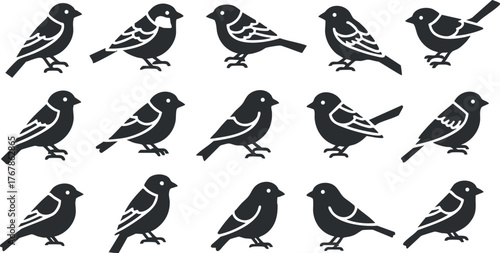 A collection of stylized bird silhouettes in black and white showcasing various species.