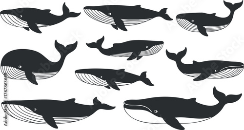 A collection of stylish whale silhouettes in various poses showcasing marine life diversity.