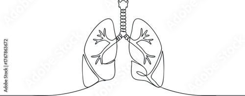 A minimalist line art illustration of human lungs showcasing respiratory anatomy and health.