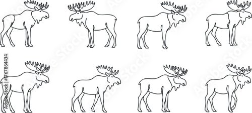 A collection of line drawings depicting a moose in various poses and angles.