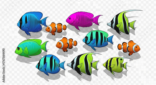 Colorful tropical fish swimming together in an aquarium with a transparent background