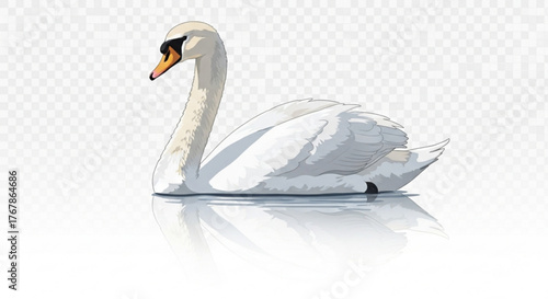 Elegant white swan gracefully gliding on water with a serene reflection below