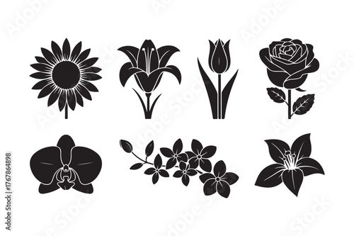 Collection of six black flower silhouettes on white background