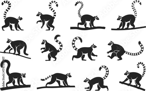 Lemur silhouette vector illustration, black lemurs in various poses, striped tail animal design, wildlife clipart, jungle primate art, isolated icons