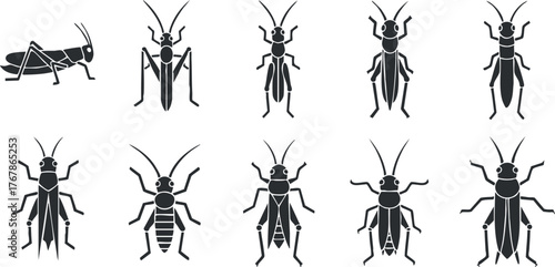 A collection of black silhouettes depicting various types of insects in a simple style.