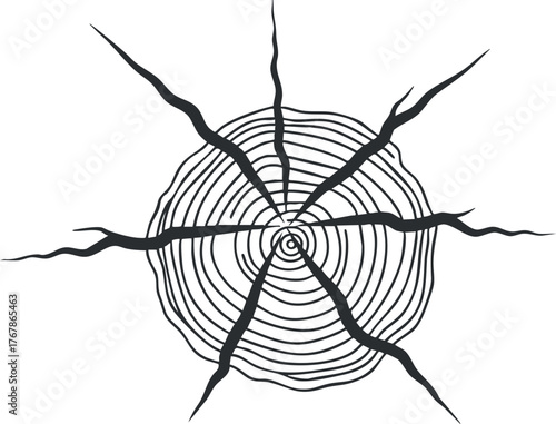 Abstract black and white radial crack pattern with dynamic lines and circular design.