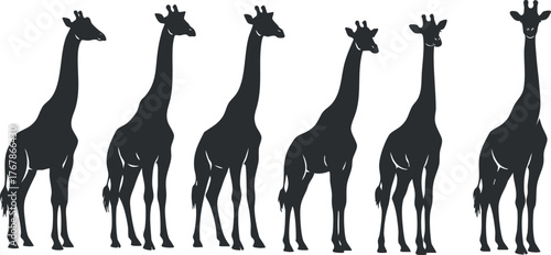 A series of stylized giraffe silhouettes showcasing different poses and heights.