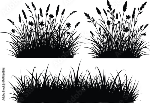 A silhouette collection of long grass