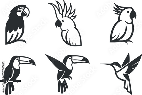 A collection of stylized black and white illustrations of various birds including parrots and toucans.