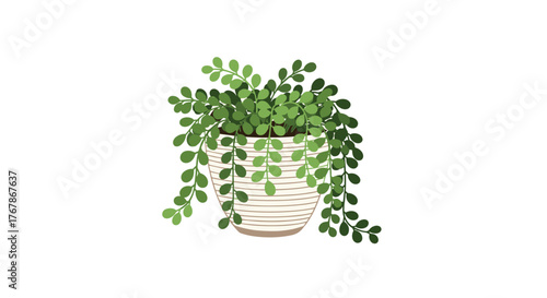 A vibrant houseplant illustration featuring cascading green leaves and a striped pot against a clean white background, perfect for adding a touch of nature to any design project.