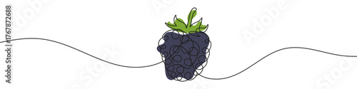 Blackberry in one line art style. Drawing of a whole blackberry , with editable black stroke and color on white background. Vector illustration.