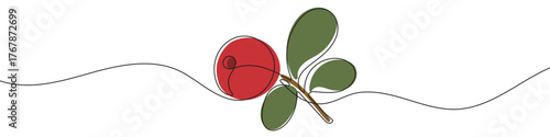Cranberry or Lingonberry on a twig with leaves in one line art style. Drawing of a small branch with one berry and several leaves, with editable black stroke and color on white background. Vector illu