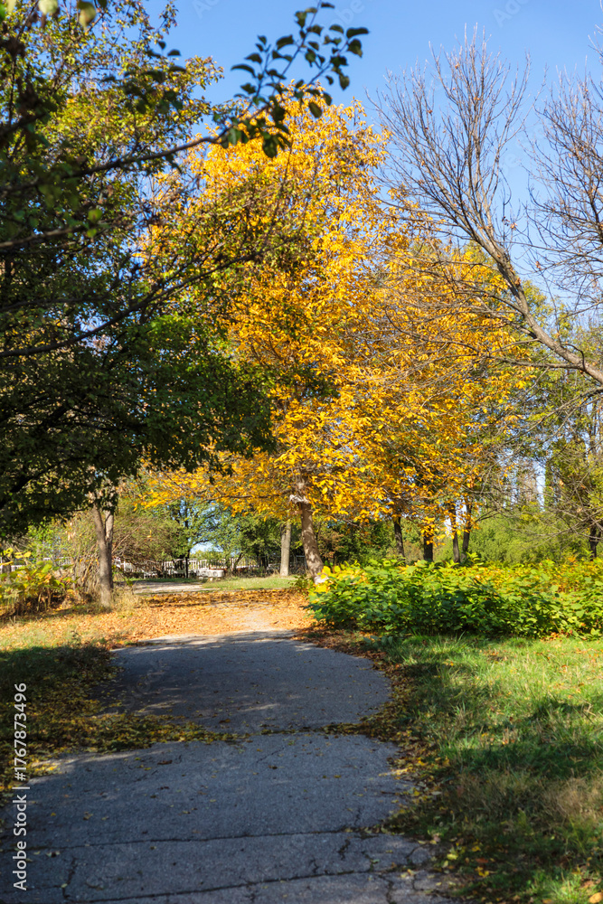 Naklejka premium Autumn Landscape of South Park in city of Sofia, Bulgaria