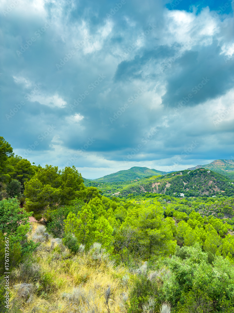 Obraz premium Vibrant green hills under a dramatic sky in a serene landscape, showcasing nature's beauty in a peaceful afternoon