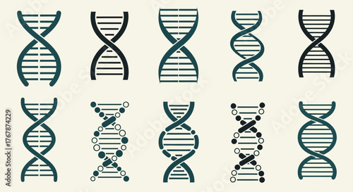 Collection of various DNA helix structures representing genetics and scientific research.