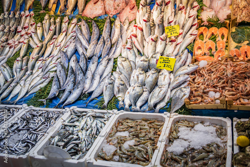 A variety of fresh caught fish at a bustling market stall in Istanbul, Turkey