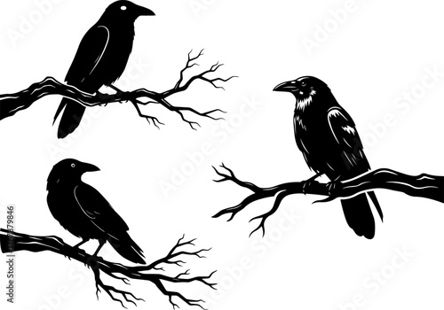 Silhouette Ravens Perched on Bare Tree Branches – Gothic Crow Illustration on White Background