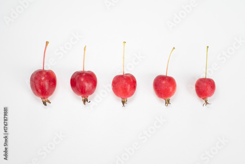 Apples. Fruits of a small-fruited apple tree on a white background.